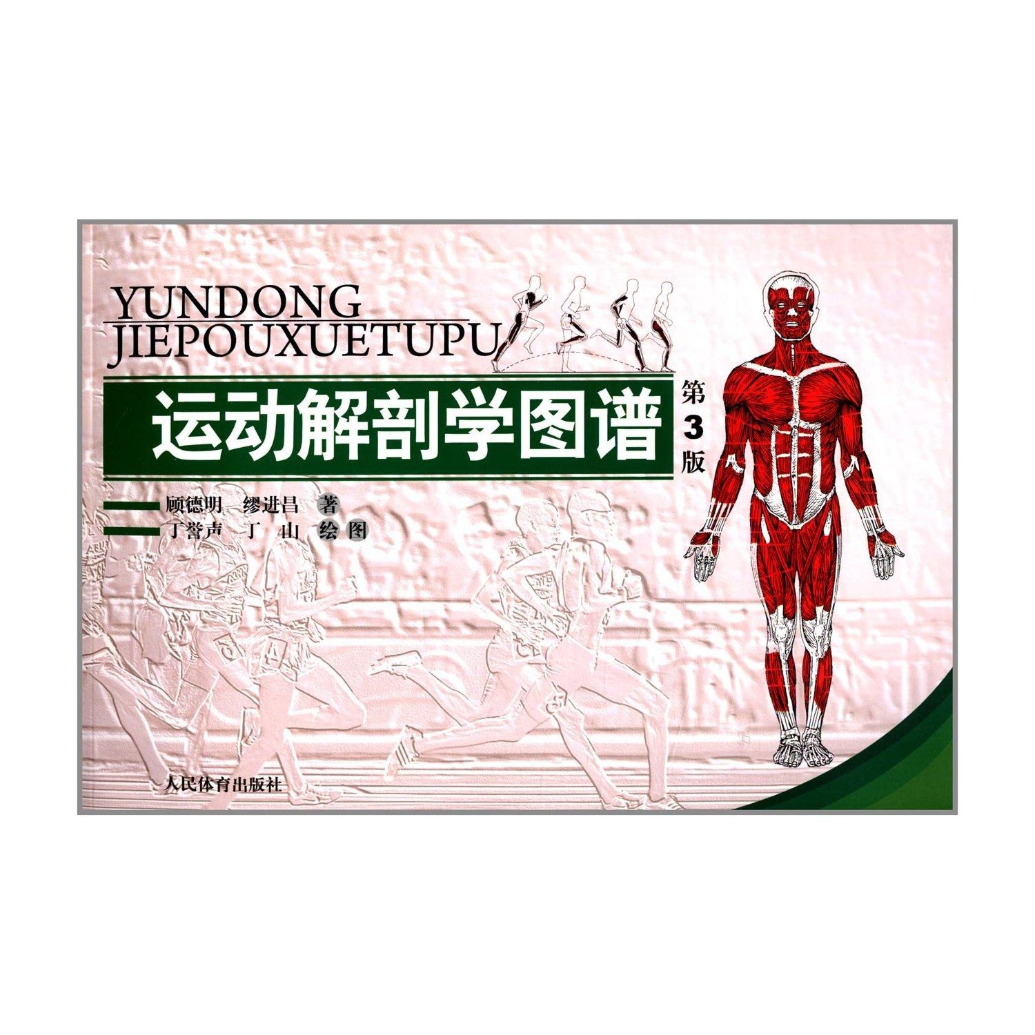 运动解剖学图谱